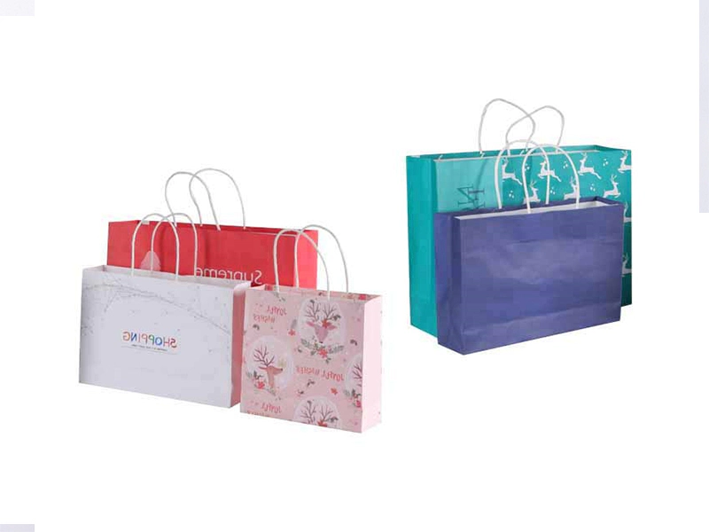 Custom Brand Name Printing Shopping Bags Craft Paper Bag With Ribbon Handles for Shoes Clothes