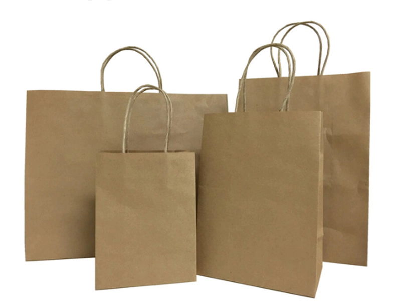 Hot Sale Paper Shopping Bag With Logo Printed