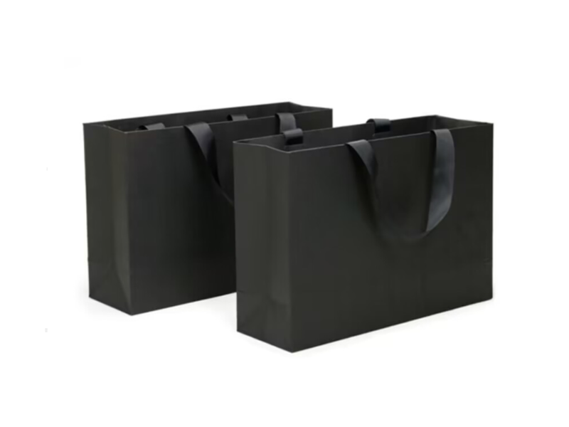 product-Black paper bag and black handle ribbon , All black bag-LEEVANS-img
