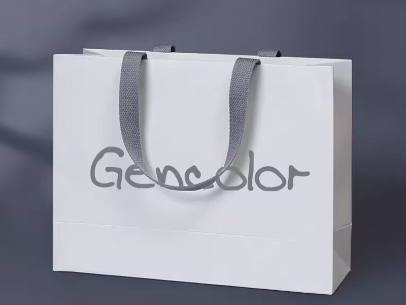product-White paper bag ,shopping bag for packing clothes , Luxury bag with custom logo-LEEVANS-img