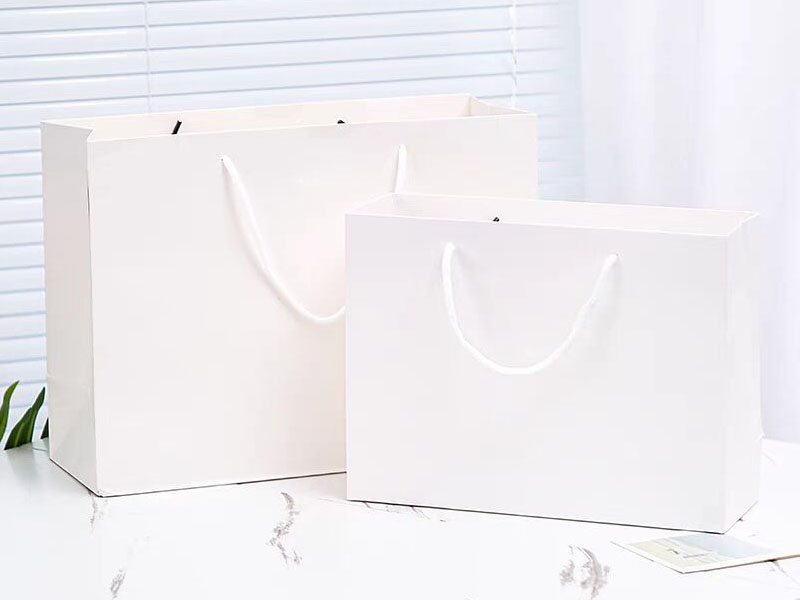 product-Normal white bag ,paper bag for packing clothing ,custom bag-LEEVANS-img