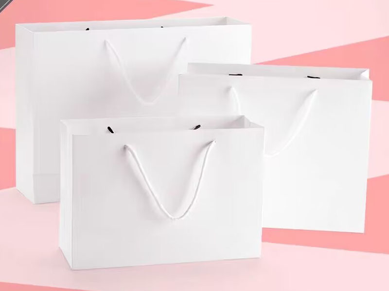 product-LEEVANS-Normal white bag ,paper bag for packing clothing ,custom bag-img